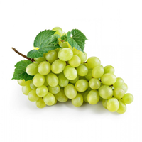 Grape