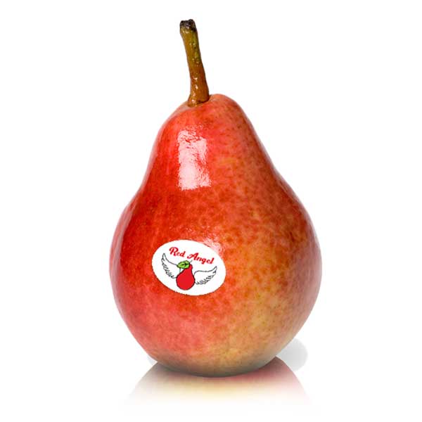 Red Angel pears brand